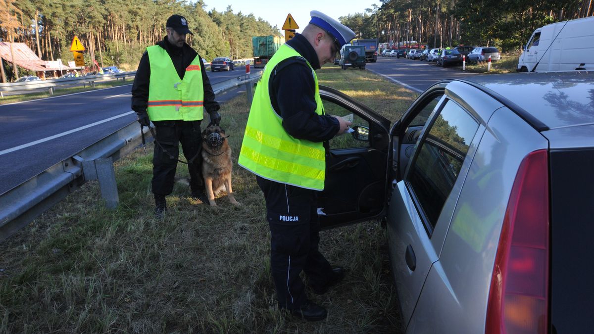 Policjant kontroluje kierowcę