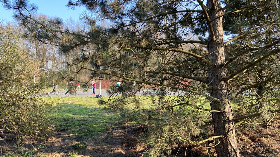 Podczas pandemii koronawirusa i zakazu zgromadzeń na w parku na Złotnikach we Wrocławiu dzieci grają w koszykówkę za zgodą rodziców (fotografia Krzysztof Mroczko)