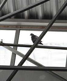 Początek prac porządkowych w Katowicach