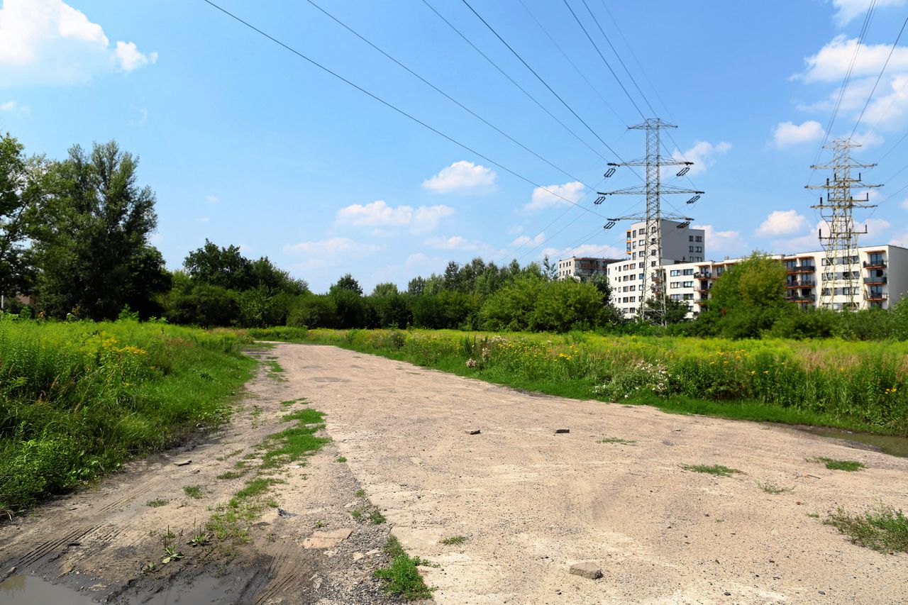 Gdzie zabraknie miejsc w szkołach? Zobacz mapę