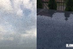 Awaria ciepłowni. Domy, samochody i zwierzęta pokryła czarna sadza