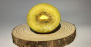 Kiwi gold – wartości odżywcze, właściwości, zastosowanie