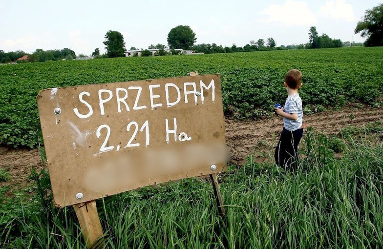 W zeszłym roku najwięcej nieruchomości gruntowych cudzoziemcy nabyli w województwach: śląskim, mazowieckim i łódzkim