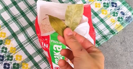 Włóż dwa listki do produktów sypkich, a to skutecznie odstraszy uporczywe mole!