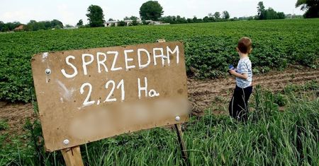 Łatwiej będzie kupić działki rolne. Senat przyjął nowelizację ustawy