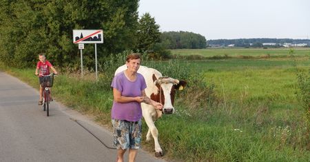 Poseł PiS chce praw miejskich dla 100 wsi. W podzięce za... ich udział w powstaniu styczniowym