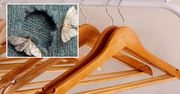 Te wieszaki skutecznie odstraszają mole. Ich zapachu nie znoszą odzieżowe insekty