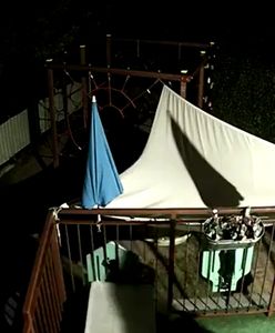 Poznań: nieznani sprawcy podpalili przedszkole. Jest nagranie