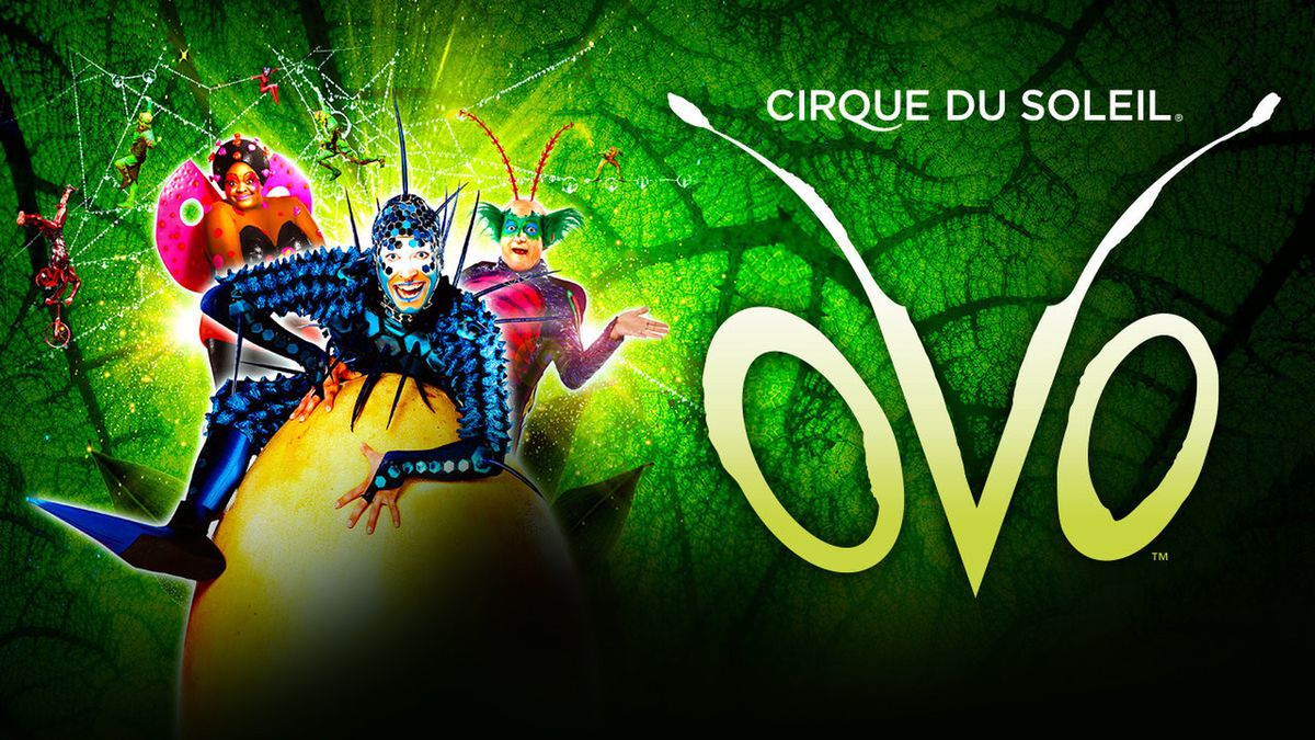 Dodatkowy spektakl "Ovo" grupy Cirque du Soleil