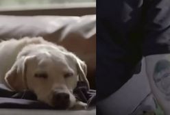 Po obejrzeniu tych nagrań zaczniesz jeździć bezpieczniej. Kampanie reklamowe, które dają do myślenia