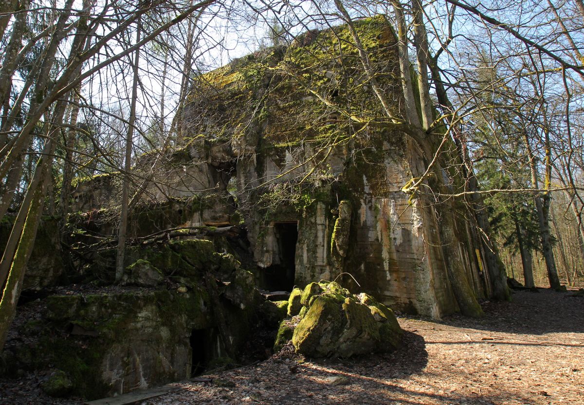 Kwatery, w których mieszkał Adolf Hitler skarbem Lasów Państwowych