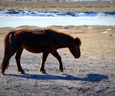 Mongolia – podróż po błękit