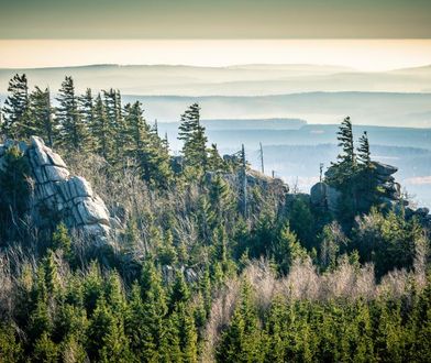 Góry Harz. Wyrusz w drogę szlakiem czarownic