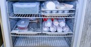 System No Frost w lodówce - wady i zalety. Czy warto dopłacać?