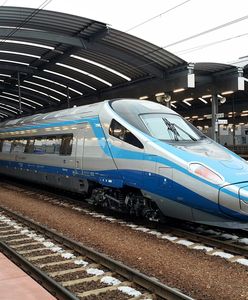 Rodzina z dziećmi pogryziona przez pluskwy. Jechali Pendolino