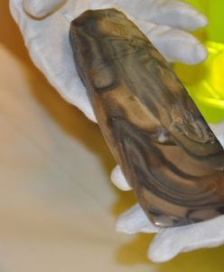 Wystawił zabytkową siekierę na aukcję. Może trafić na kilka lat do więzienia