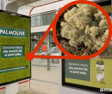 Palmolive pod ostrzałem za reklamę na przystankach. "Oczyszcza jak stary koc"
