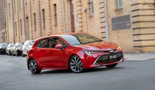 Kompendium wiedzy o hybrydach - wszystko, co chcieliście wiedzieć, ale baliście się zapytać