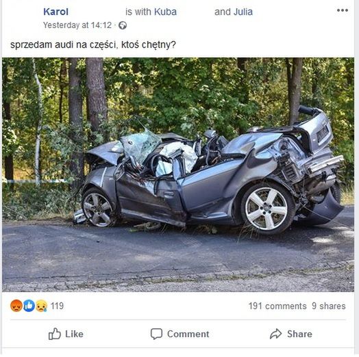 post internetowych trolli 