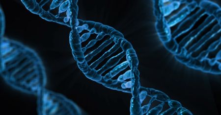 Uważałeś na biologii? Co wiesz o hormonach?