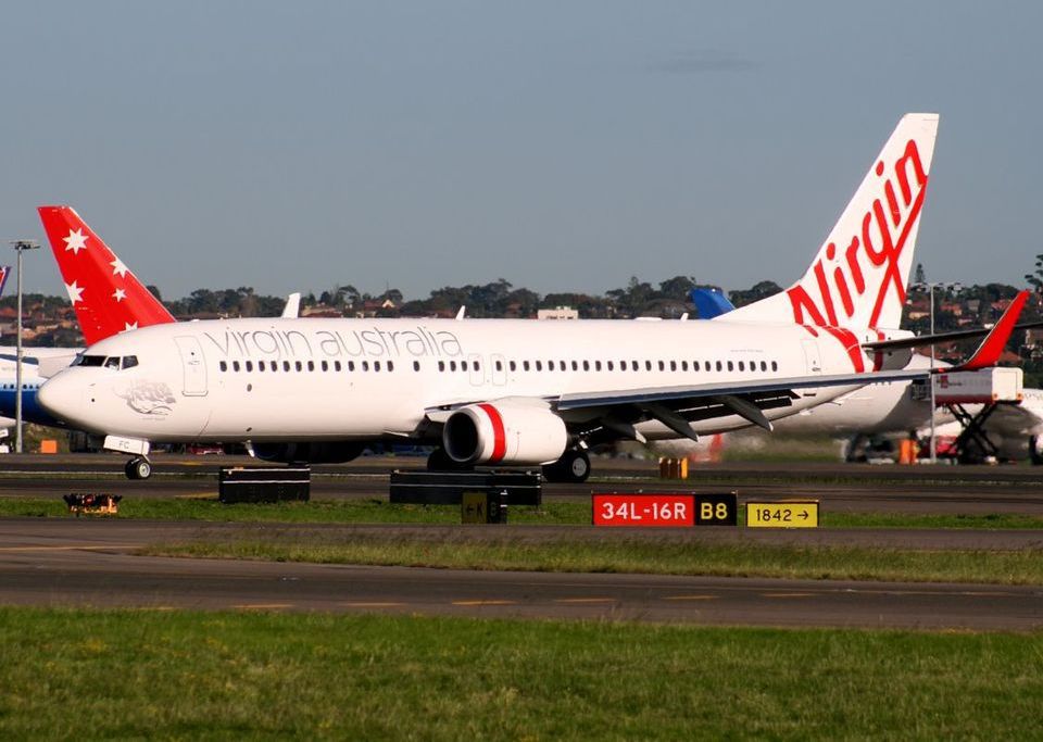 Samolot Virgin Australia musiał awaryjnie lądować. Zderzył się z orłem i królikiem