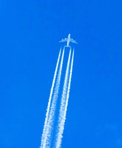 Przymusowe lądowanie w Pyrzowicach. Zderzenie z ptakiem podczas lotu do Gruzji