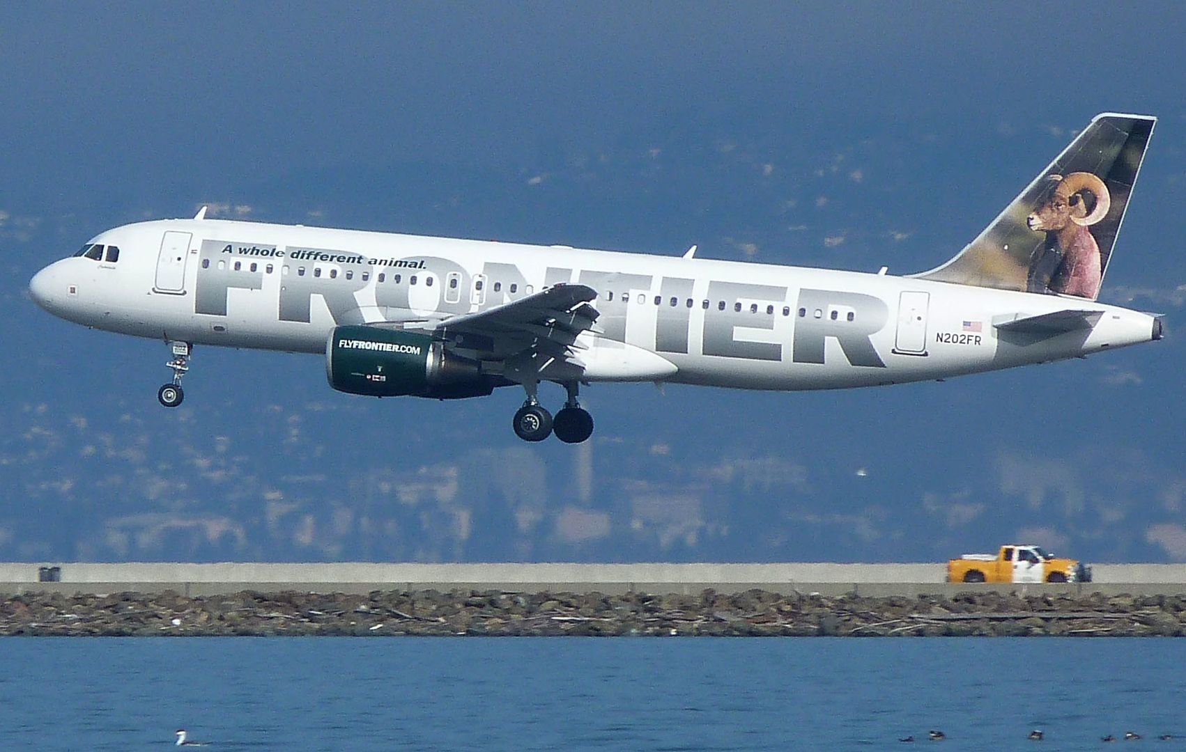 Awantura na pokładzie Frontier Airlines. Pasażer uderzył pięścią głuchoniemą kobietę w ciąży