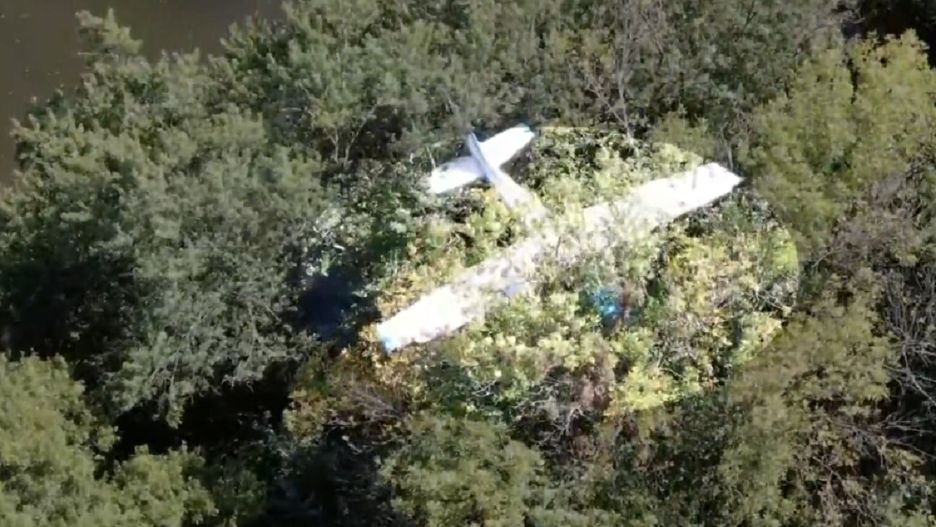 Samolot Cessna 172 rozbił się na drzewie w USA