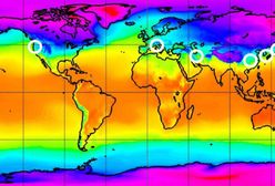 Koronawirus w Polsce. Naukowcy: ciepła pogoda może pomóc w zakończeniu epidemii