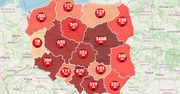 Koronawirus w Polsce i na świecie. Mapa pokazuje już ponad 1,9 mln zakażeń