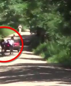 Zarzuty dla dwóch mężczyzn za pobicie operatora Polsatu w Puszczy Białowieskiej