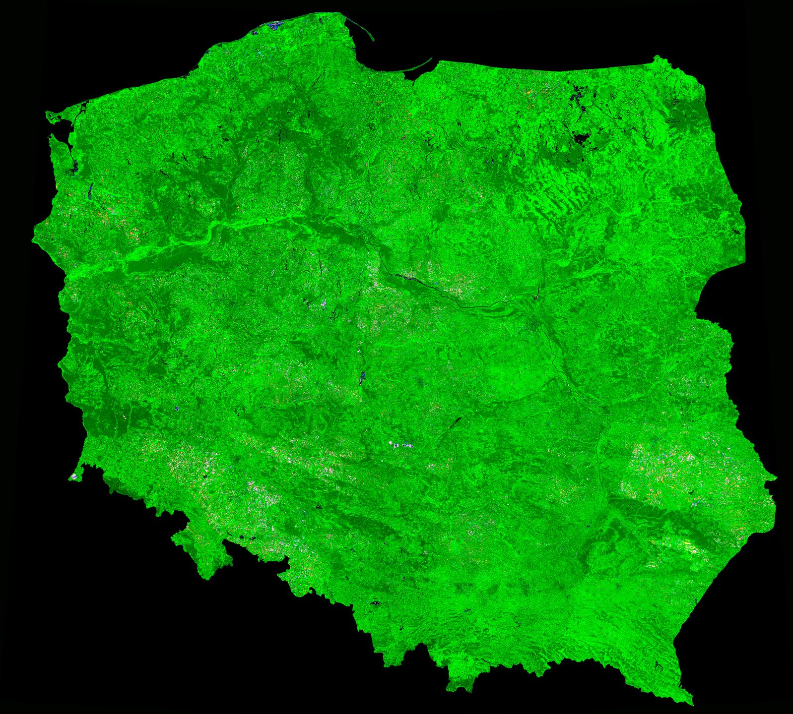 Obraz
