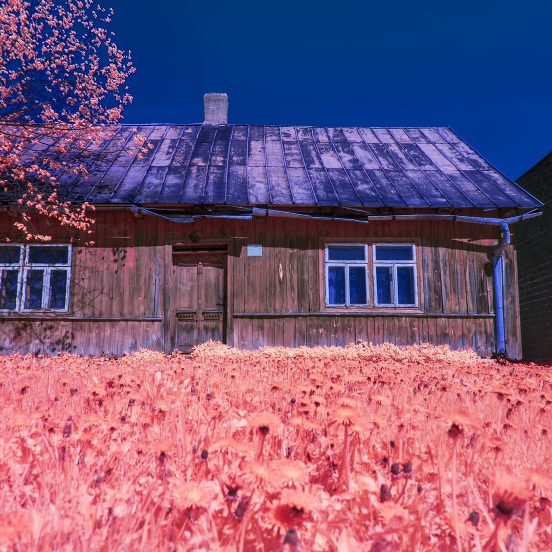 Różowa Polska. Bajkowe zdjęcia fotografa z Dąbrowy Górniczej