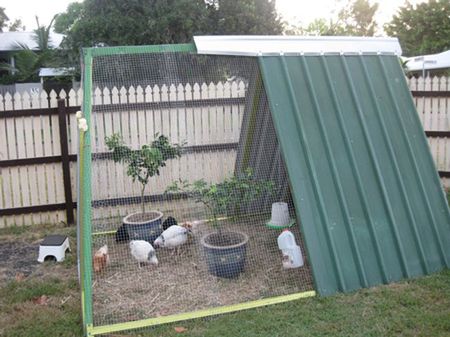 Swing Frame Chicken Coop