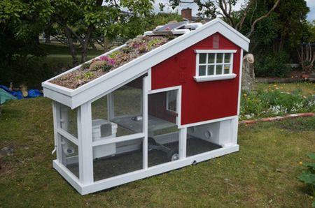 Chicken Coop