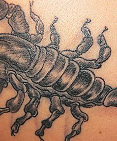 Kanibal, skorpion i i wściekły byk - tatuaże Internautów