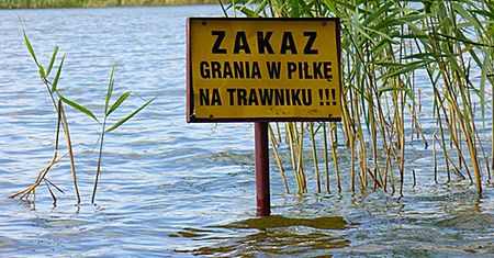 Zamów kaczkę, a dziecko będzie gratis - zdjęcia Internautów