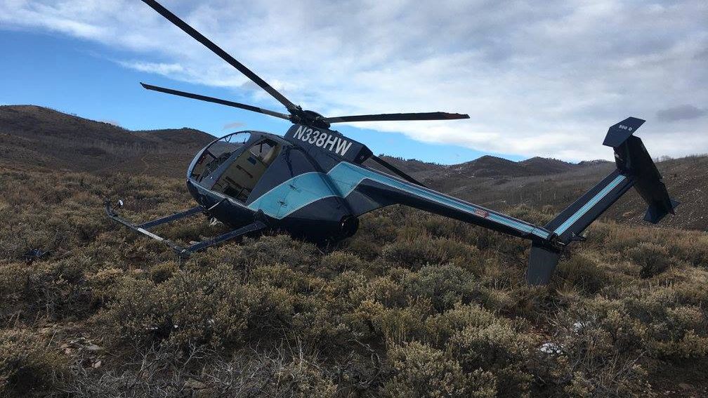 Załoga śmigłowca chciała uśpić zwierzę