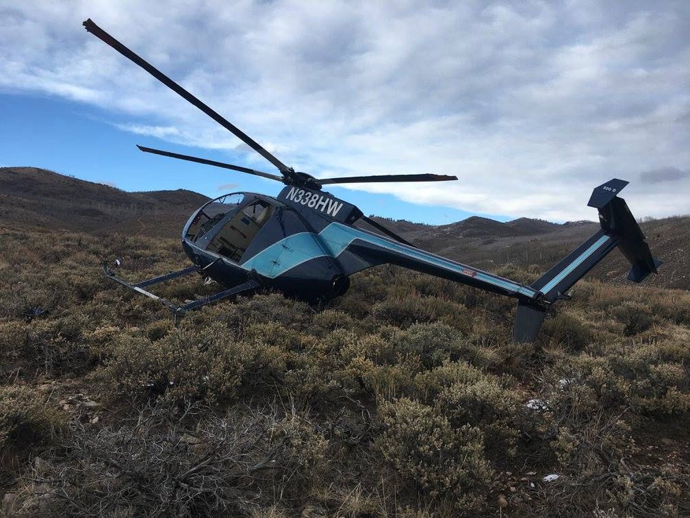 Łoś strącił helikopter. Załoga chciała oznakować zwierzę