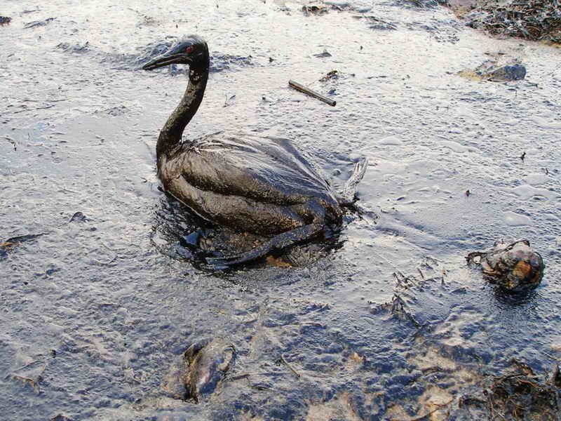 Na dnie Bałtyku tyka bomba ekologiczna