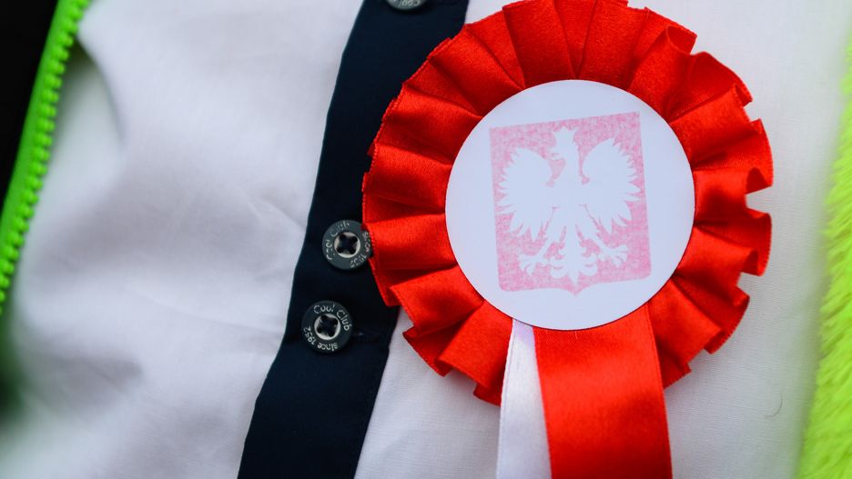 Jak zrobić kotylion na 11 listopada? Poznaj szablony dekoracji na Święto Niepodległości