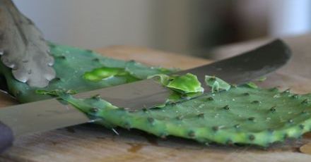 Nopal - kaktus na odchudzanie