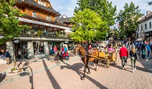 Zakopane oblegają tłumy turystów. I kwitnie szara strefa