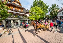 Zakopane oblegają tłumy turystów. I kwitnie szara strefa