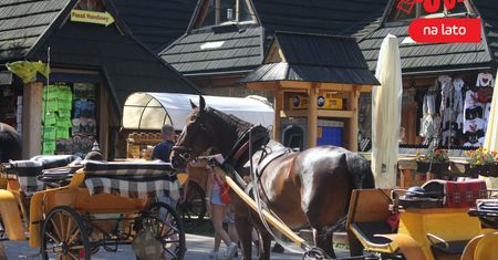 Doić cepra, czyli biznes po góralsku. Gościnność i folklor przegrały z dutkami