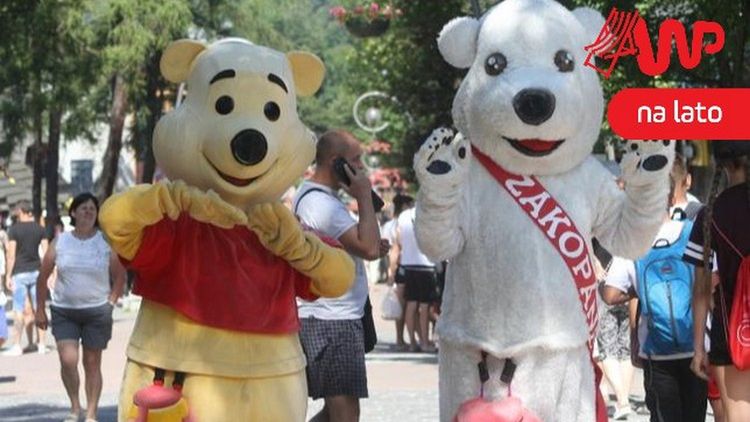 Misie z Zakopanego mają zakaz stania na Krupówkach