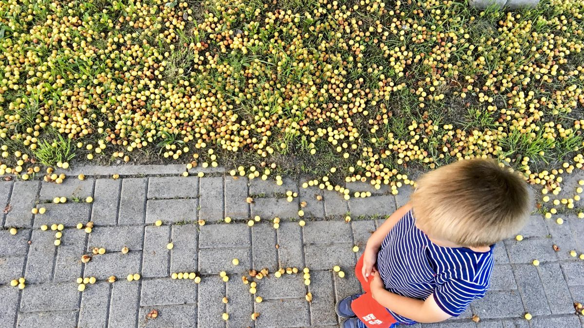 Podziemie adopcyjne. Nowe przepisy mają ukrócić proceder