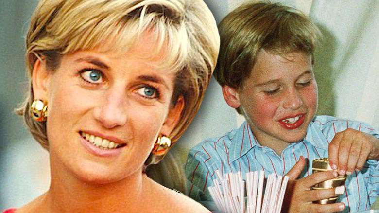 Księżna DIana książę William