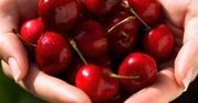 Dlaczego warto jeść wiśnie?