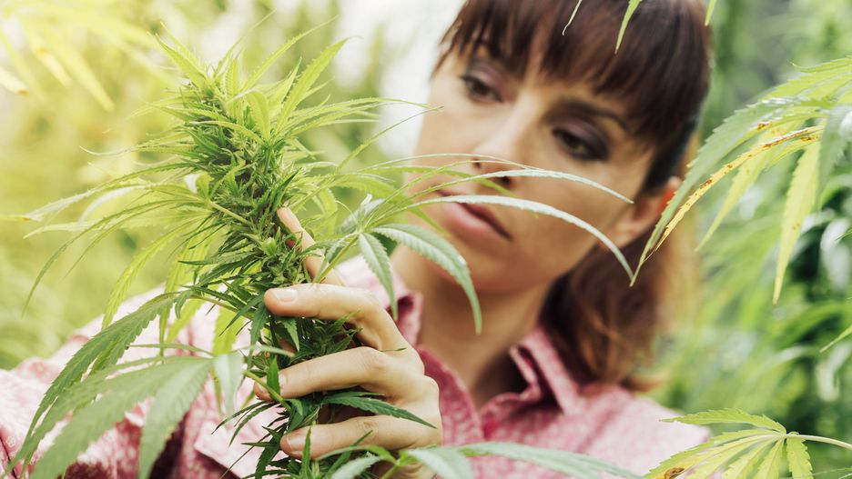 Nowe prawo wejdzie w życie 1 stycznia 2020 r.